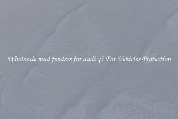 Wholesale mud fenders for audi q5 For Vehicles Protection