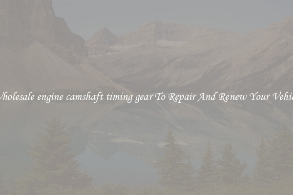Wholesale engine camshaft timing gear To Repair And Renew Your Vehicle