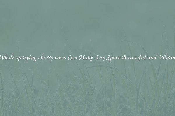 Whole spraying cherry trees Can Make Any Space Beautiful and Vibrant