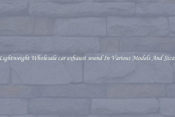 Lightweight Wholesale car exhaust sound In Various Models And Sizes