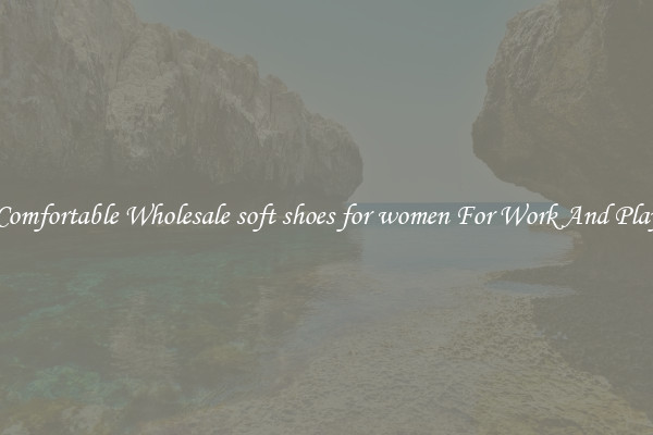 Comfortable Wholesale soft shoes for women For Work And Play