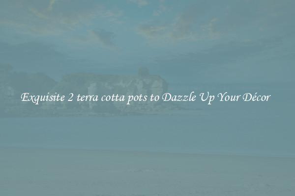 Exquisite 2 terra cotta pots to Dazzle Up Your Décor  