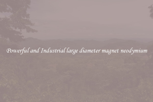 Powerful and Industrial large diameter magnet neodymium