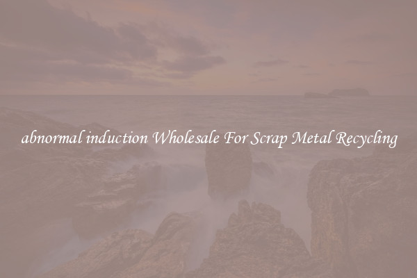 abnormal induction Wholesale For Scrap Metal Recycling