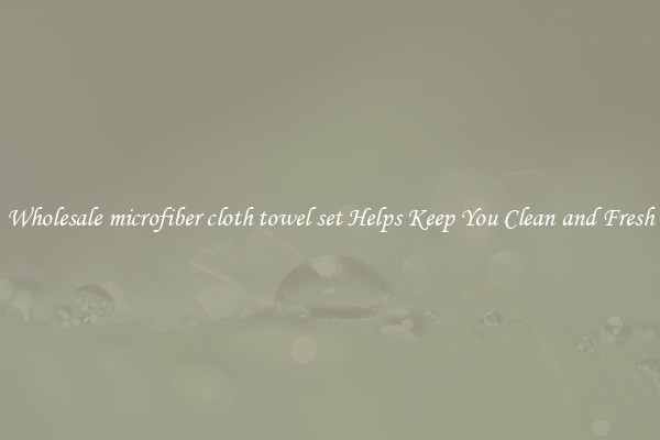 Wholesale microfiber cloth towel set Helps Keep You Clean and Fresh