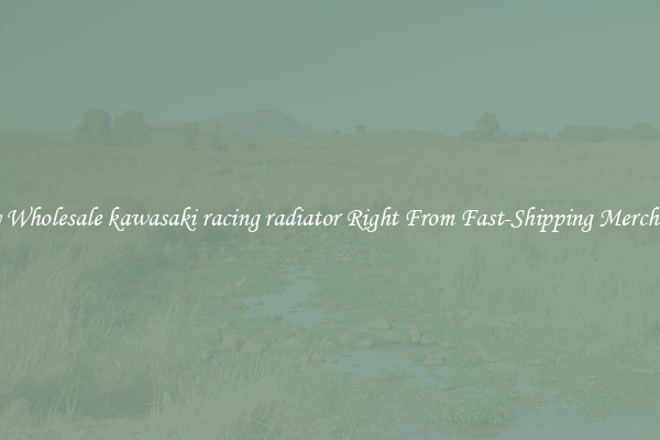 Buy Wholesale kawasaki racing radiator Right From Fast-Shipping Merchants
