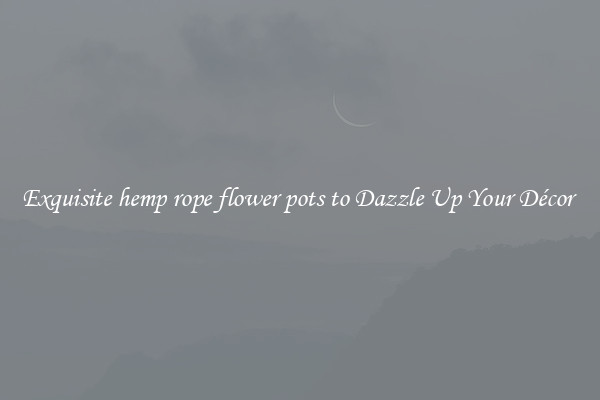 Exquisite hemp rope flower pots to Dazzle Up Your Décor 
