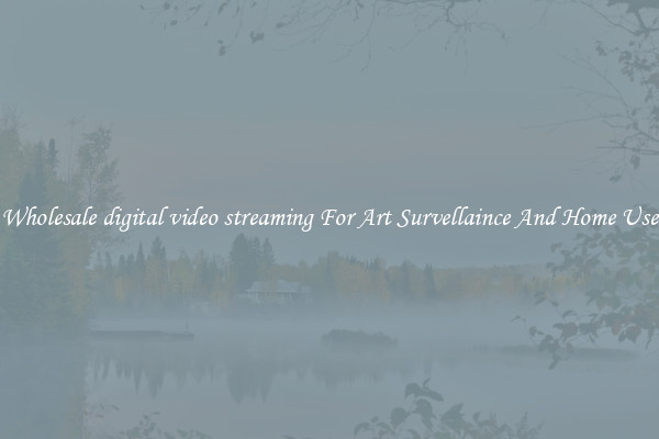 Wholesale digital video streaming For Art Survellaince And Home Use