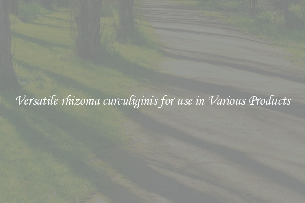 Versatile rhizoma curculiginis for use in Various Products