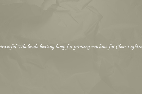 Powerful Wholesale heating lamp for printing machine for Clear Lighting