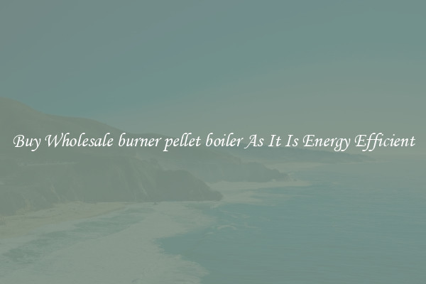 Buy Wholesale burner pellet boiler As It Is Energy Efficient