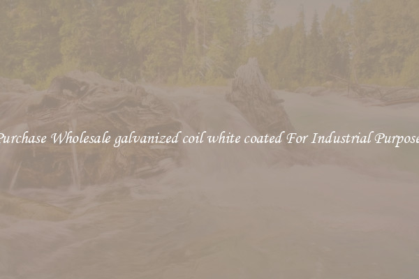 Purchase Wholesale galvanized coil white coated For Industrial Purposes